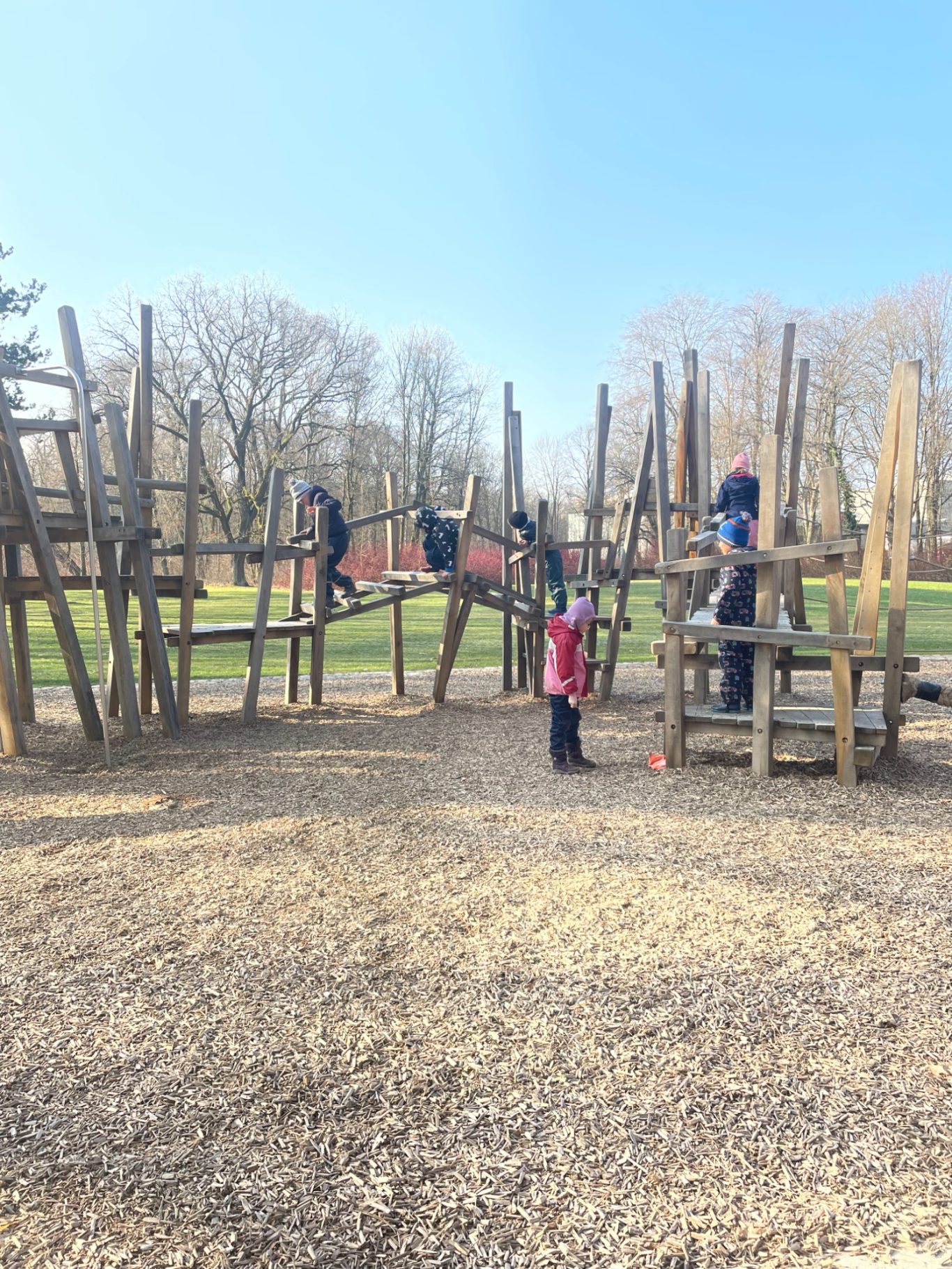 Motorische Förderung auf dem Klettergerüst