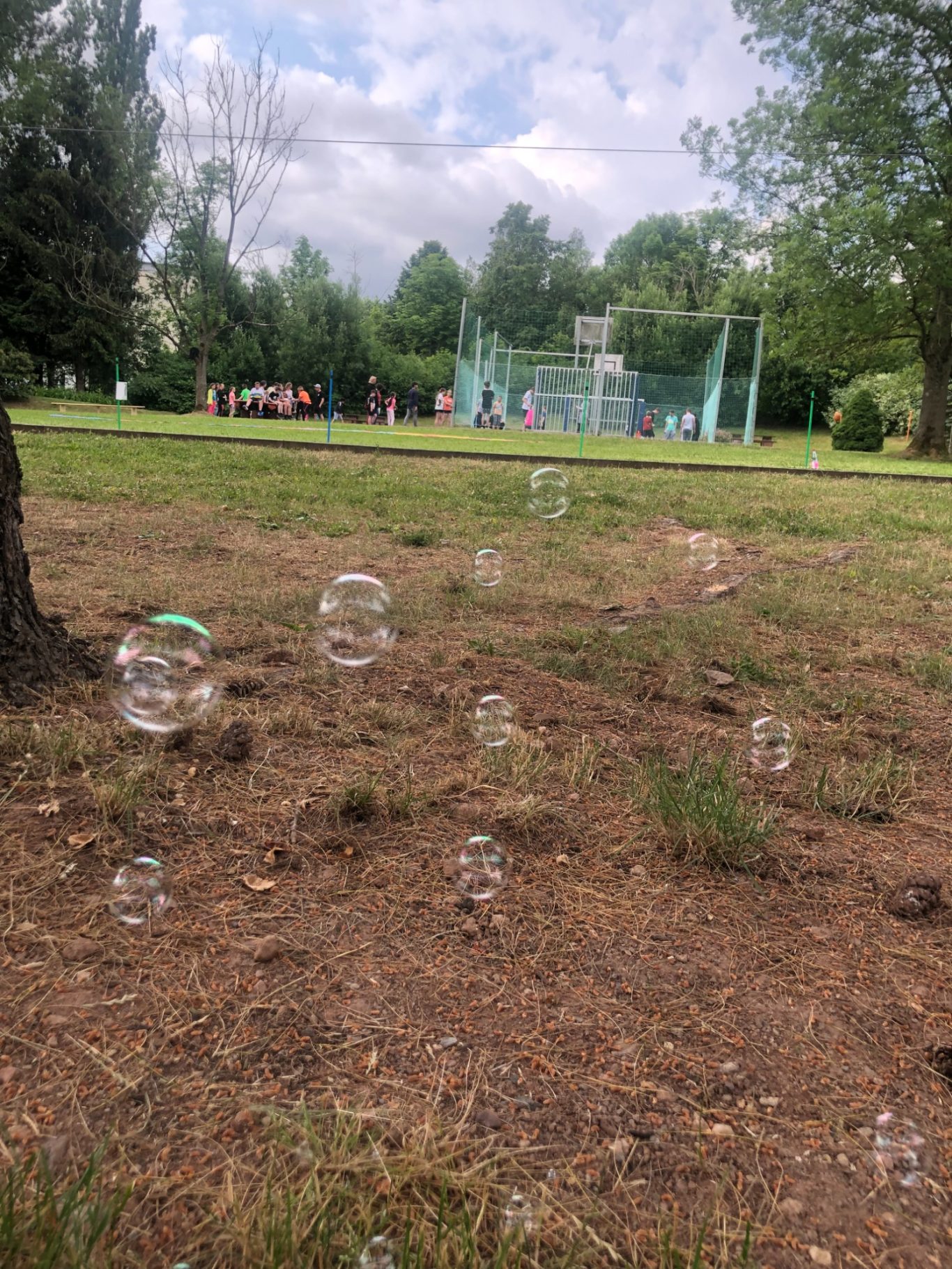 Seifenblasen zum Sportfest